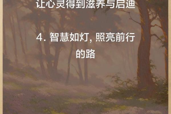 五四年出生的人命运解析：寻找生命的秘密与智慧之道