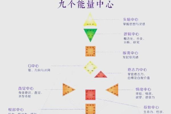 如何根据命格选择适合自己的身体修炼方法？