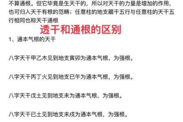 命理中的根基：如何理解扎根对人生发展的重要性