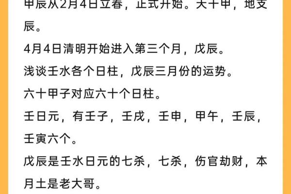 探秘甲辰己巳命局，揭示最佳运势之道