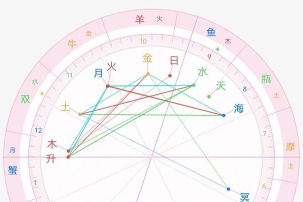 狮子命的克星：解析命理与性格的微妙关系