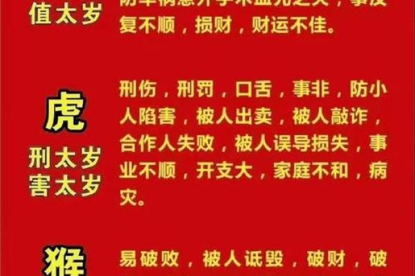 明年生宝宝是什么命？解析不同年份的命理特点与养育之道