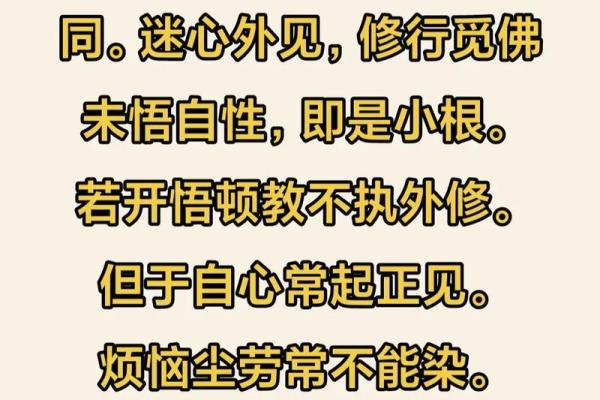 探索和尚命的深意：生命的智慧与解脱之路