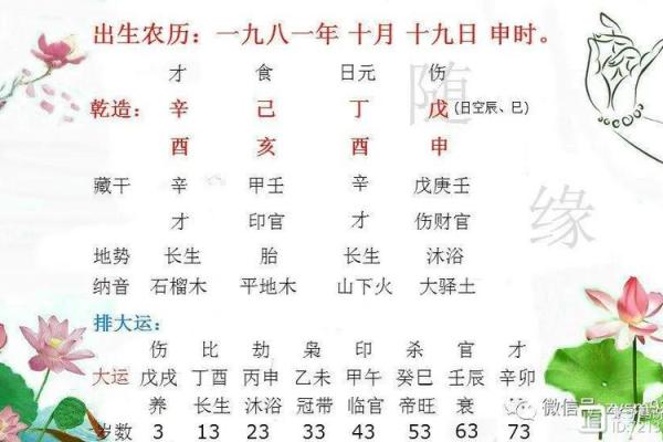 探秘辛酉年，揭开八字命局的神秘面纱