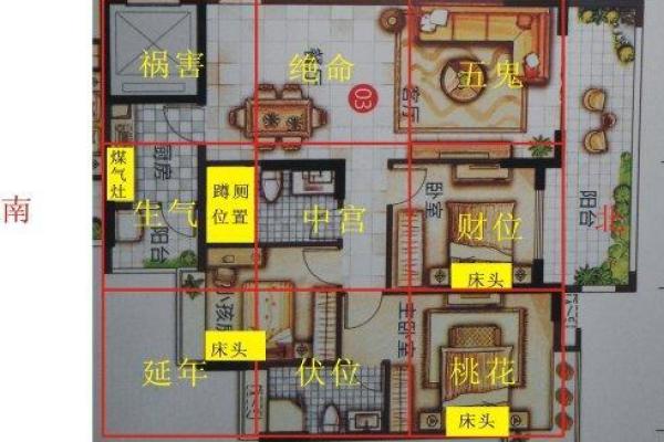 如何用植物提升土命人的家居风水与运势