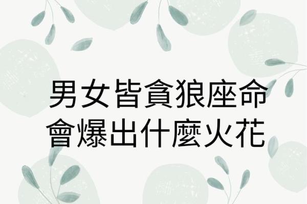 贪狼入命：探索适合的职业与人生道路的选择