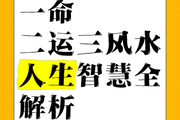 你为什么命那么好？探寻命运背后的秘密与智慧