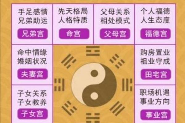 千年命理：从八字看你的人生轨迹与运势