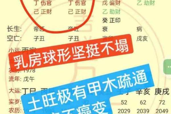 了解木命之人：适合的数字与吉祥寓意解析