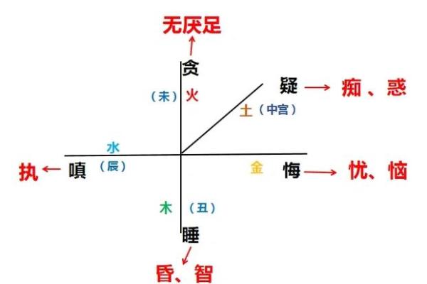 双华盖的女人：命运与智慧的交汇点