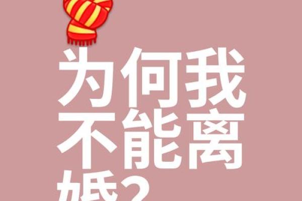 探寻“没有离婚的命”：爱的真谛与人际关系的奥秘