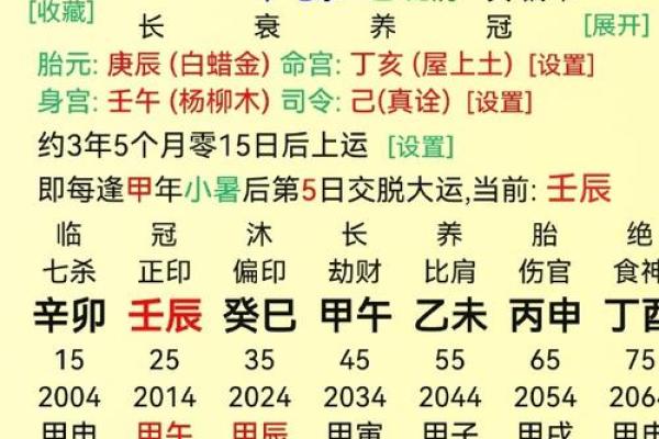 探秘命宫丙午命男的性格特点与人生轨迹