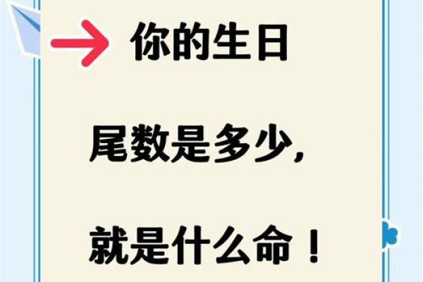 命掌乾坤：揭秘生肖背后的命运密码