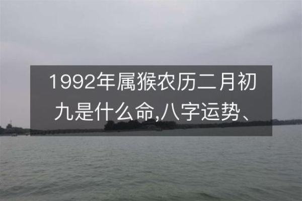 属猴92年出生的你，命运与运势走向全解析！