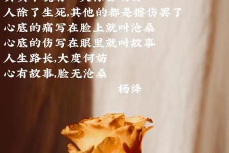 辛己年：火命下的精彩人生与命运解析