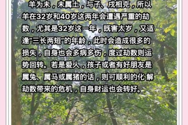 虚岁37岁属什么命？探索你的命运与转折点！