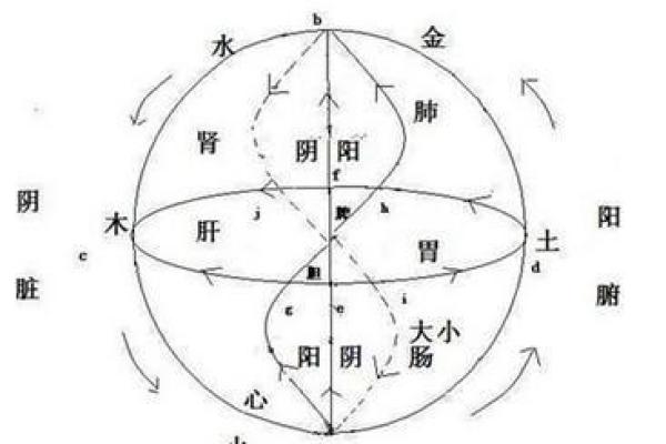 探索1993年正月28日出生者的命理与人生轨迹