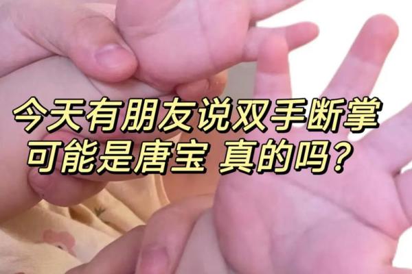 双手断掌纹命运解析：探索独特人生与命运的交响曲