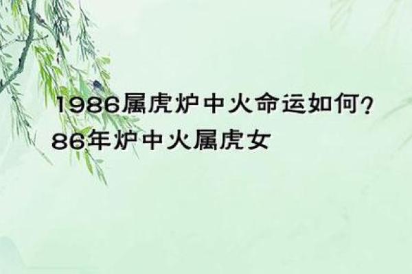 如何理解1986年虎年人的命格与配偶选择