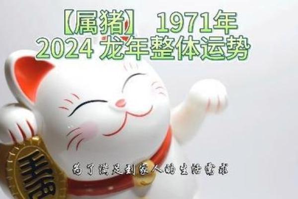 探秘1971属猪人：命理解析与生活智慧