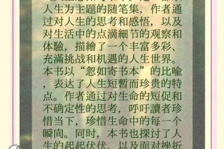 命没了就什么都没了，人生的真谛在于珍惜当下