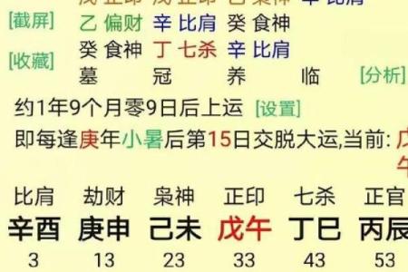 辛卯年生人命理探秘：性格、运势与人生选择的深度分析