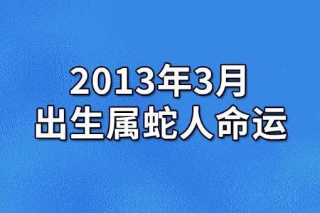 属蛇人2013的命运解析：揭示你的人生轨迹与机会