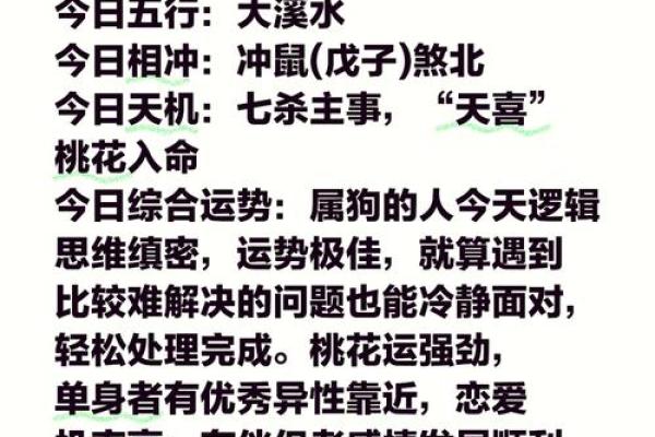 属狗水命的幸运数字与生活启示