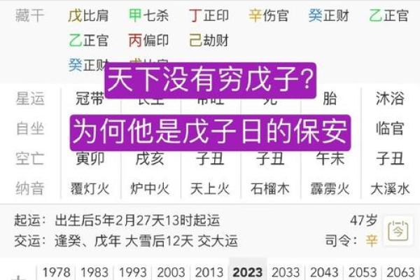 探索八字命理：乙亥戊子甲戌壬申的命运解析与人生启示