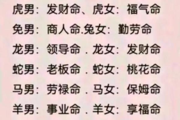 相与为命：探寻十二生肖中的缘分与命运