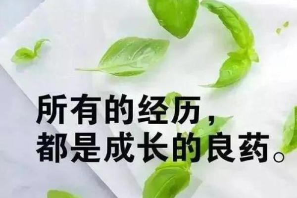 命中无大起大落，这是什么命运？探讨人生的平稳与哲理