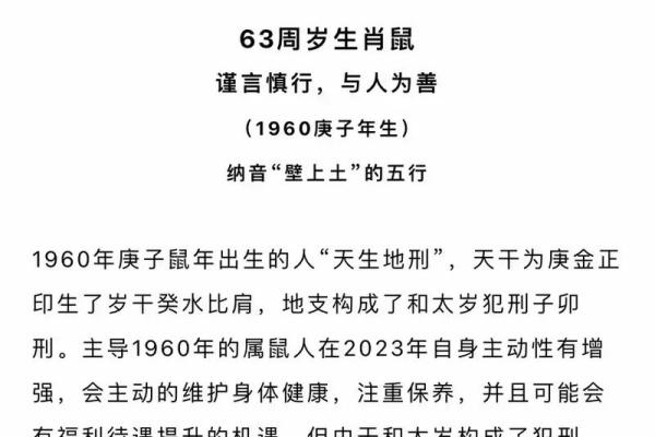 属鼠出生的童子命解析：福报与智慧的真实故事