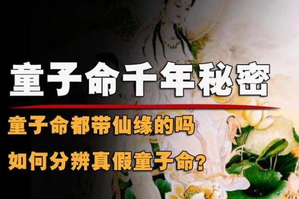 童子命属于什么生肖？探秘命理与生肖的深刻联系