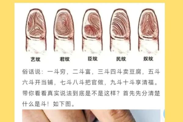 命内关的精髓：探寻命理与人生的深层联系