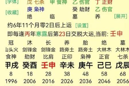 探索八字命理：乙亥戊子甲戌壬申的命运解析与人生启示