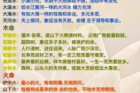 探秘木命与数字的神秘关联：胎元与命理解析