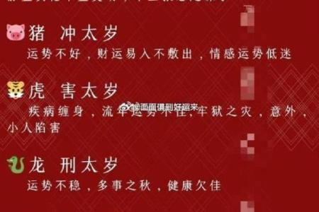 童子命属于什么生肖？探秘命理与生肖的深刻联系