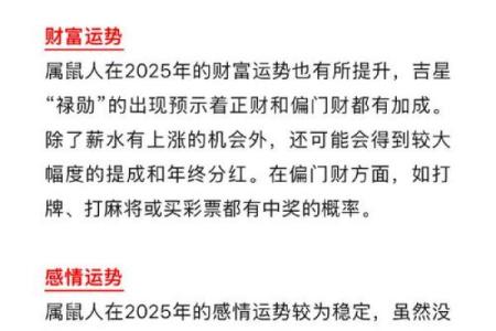 属什么属性的人适合的命运与未来发展的深度探索