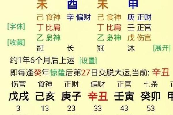 命理解析：辛未、甲午、辛亥、癸巳之命运与启示