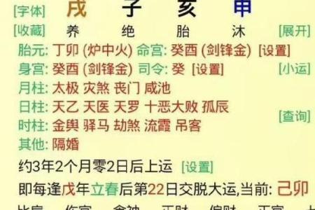 探秘命局与戊申的相克之谜：从五行看你的人生起伏