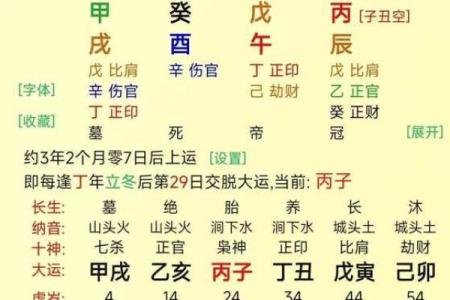 戊寅丙辰丁亥丙午命理解析：命运背后的深度探索