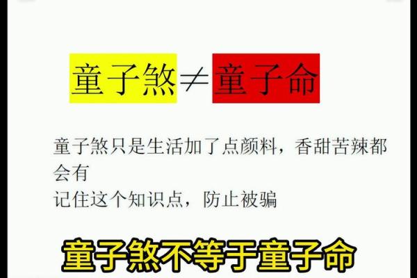 双童子命：命理中的稀有珍宝与人生启示