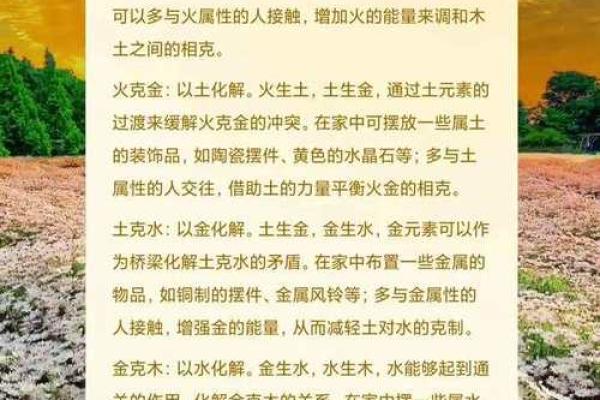 平地木命的奥秘：如何利用五行之木提升生活品质