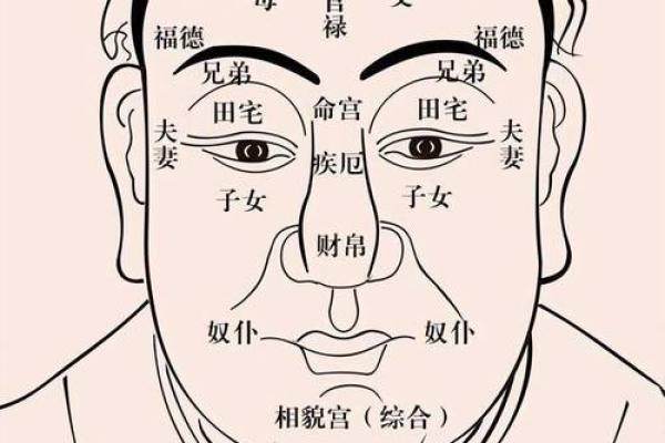 男人耳朵高于眉毛的命运解析：隐秘的相学密码