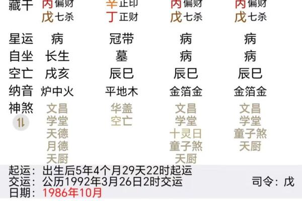 探寻癸酉辛酉己酉丙子的命理奥秘，揭示生活与命运的深刻关联