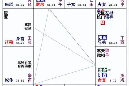 紫薇命盘：揭示聪明人背后的神秘智慧与潜力