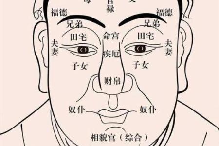 男人耳朵高于眉毛的命运解析：隐秘的相学密码