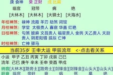 乙酉水命的命理解析与生活指导：如何把握命中的智慧与运势