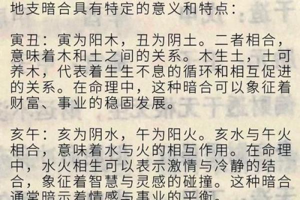 命与磁场的神秘交织：探究相冲的深层意义