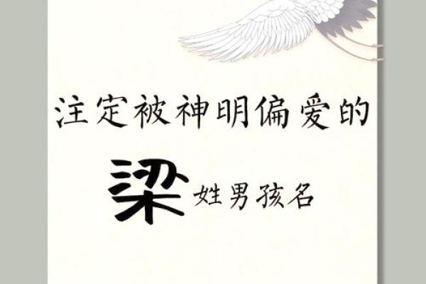 梁姓的命理解析：探索命运与个性的奥秘